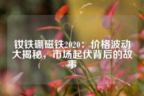 釹鐵硼磁鐵2020：價格波動大揭秘，市場起伏背后的故事