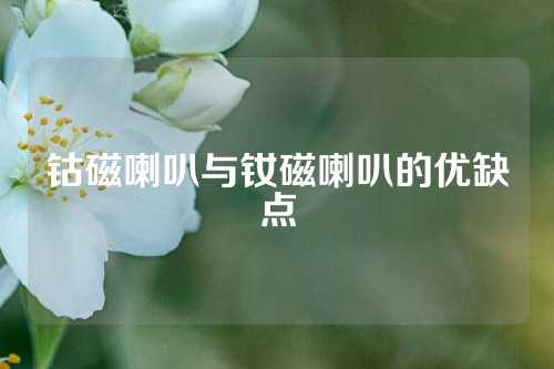 鈷磁喇叭與釹磁喇叭的優(yōu)缺點