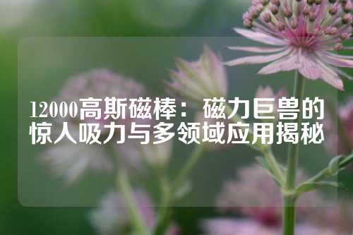 12000高斯磁棒：磁力巨獸的驚人吸力與多領(lǐng)域應(yīng)用揭秘