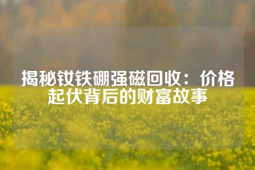 揭秘釹鐵硼強磁回收：價格起伏背后的財富故事