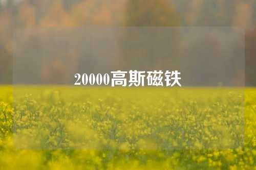 20000高斯磁鐵