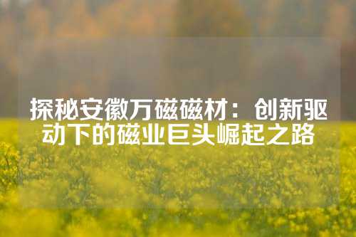 探秘安徽萬磁磁材：創(chuàng)新驅(qū)動下的磁業(yè)巨頭崛起之路