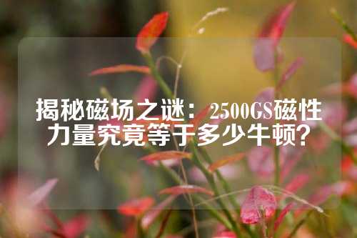 揭秘磁場之謎：2500GS磁性力量究竟等于多少牛頓？