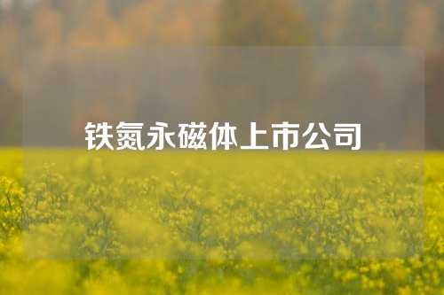 鐵氮永磁體上市公司