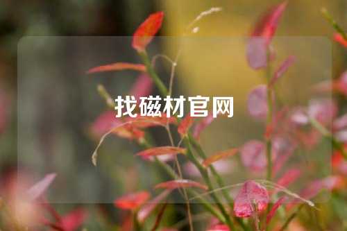 找磁材官網(wǎng)