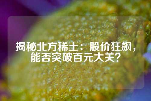 揭秘北方稀土：股價狂飆，能否突破百元大關(guān)？