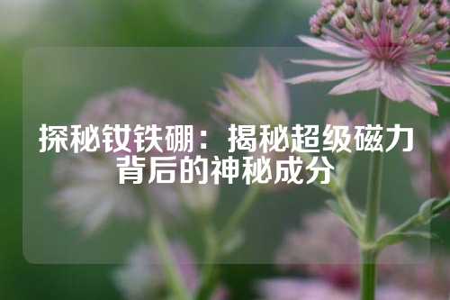 探秘釹鐵硼：揭秘超級磁力背后的神秘成分