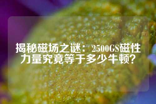 揭秘磁場之謎：2500GS磁性力量究竟等于多少牛頓？