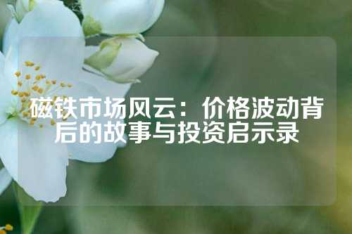 磁鐵市場(chǎng)風(fēng)云：價(jià)格波動(dòng)背后的故事與投資啟示錄