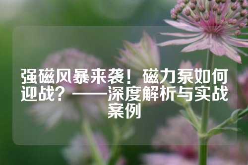 強(qiáng)磁風(fēng)暴來(lái)襲！磁力泵如何迎戰(zhàn)？——深度解析與實(shí)戰(zhàn)案例