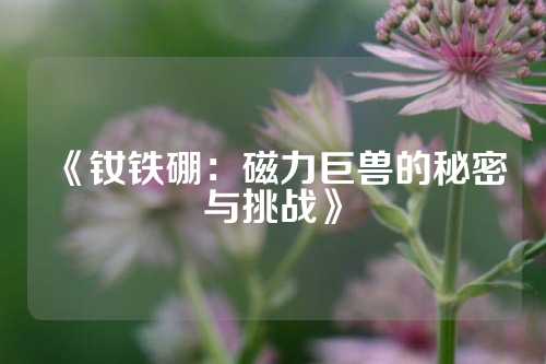 《釹鐵硼：磁力巨獸的秘密與挑戰(zhàn)》