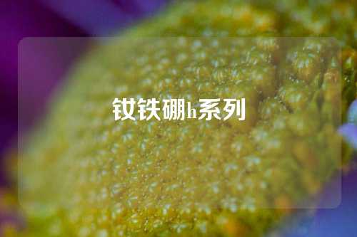 釹鐵硼h系列