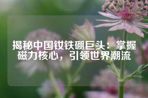 揭秘中國釹鐵硼巨頭：掌握磁力核心，引領世界潮流