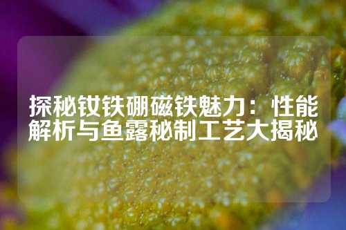 探秘釹鐵硼磁鐵魅力：性能解析與魚露秘制工藝大揭秘