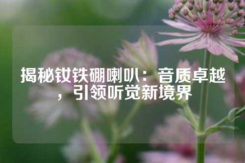 揭秘釹鐵硼喇叭：音質(zhì)卓越，引領(lǐng)聽(tīng)覺(jué)新境界