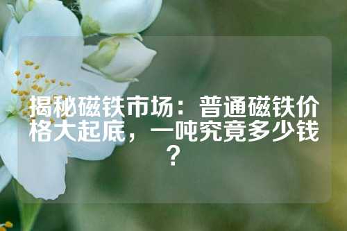 揭秘磁鐵市場：普通磁鐵價格大起底，一噸究竟多少錢？