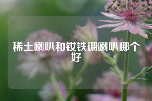 稀土喇叭和釹鐵硼喇叭哪個(gè)好