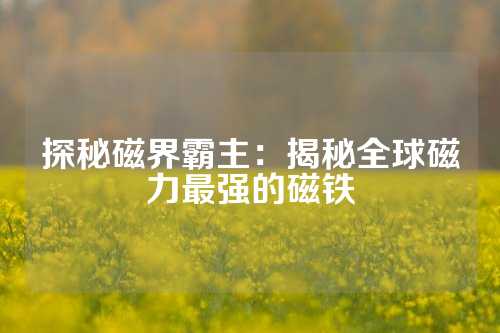 探秘磁界霸主：揭秘全球磁力最強(qiáng)的磁鐵