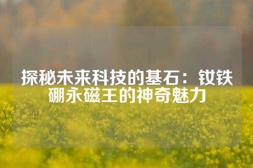 探秘未來科技的基石：釹鐵硼永磁王的神奇魅力