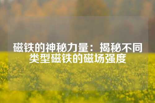 磁鐵的神秘力量：揭秘不同類型磁鐵的磁場(chǎng)強(qiáng)度