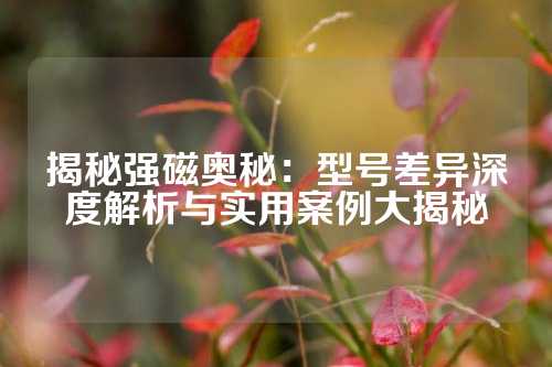 揭秘強磁奧秘：型號差異深度解析與實用案例大揭秘