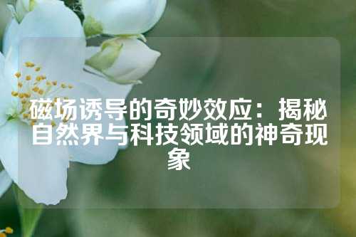 磁場誘導(dǎo)的奇妙效應(yīng)：揭秘自然界與科技領(lǐng)域的神奇現(xiàn)象