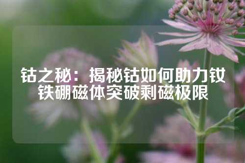 鈷之秘：揭秘鈷如何助力釹鐵硼磁體突破剩磁極限