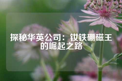 探秘華英公司：釹鐵硼磁王的崛起之路