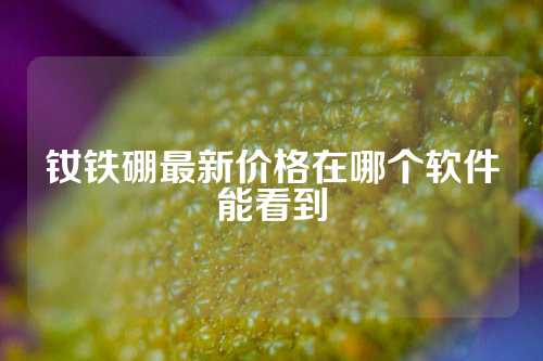 釹鐵硼最新價格在哪個軟件能看到