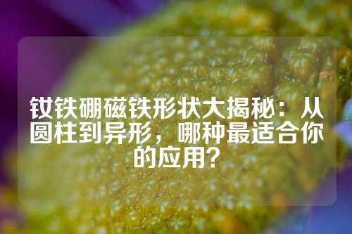 釹鐵硼磁鐵形狀大揭秘：從圓柱到異形，哪種最適合你的應(yīng)用？