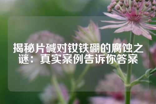 揭秘片堿對釹鐵硼的腐蝕之謎：真實案例告訴你答案