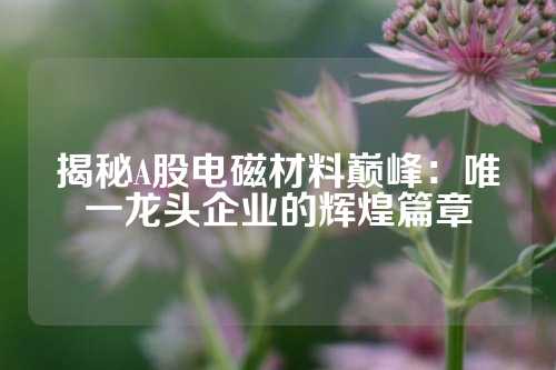 揭秘A股電磁材料巔峰：唯一龍頭企業(yè)的輝煌篇章