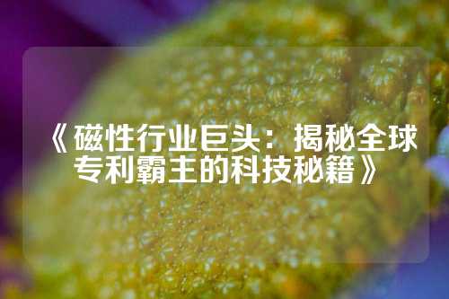 《磁性行業(yè)巨頭：揭秘全球?qū)＠灾鞯目萍济丶? /></p>
<ul>
<li><strong>專利領(lǐng)域</strong>：日立金屬在<a target=