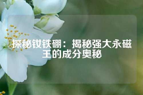 探秘釹鐵硼：揭秘強(qiáng)大永磁王的成分奧秘