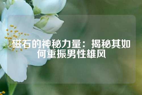 磁石的神秘力量：揭秘其如何重振男性雄風