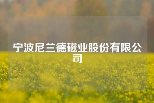 寧波尼蘭德磁業(yè)股份有限公司