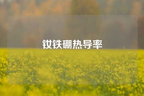 釹鐵硼熱導(dǎo)率