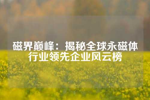 磁界巔峰：揭秘全球永磁體行業(yè)領先企業(yè)風云榜