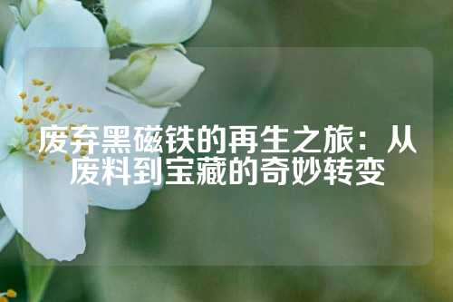 廢棄黑磁鐵的再生之旅：從廢料到寶藏的奇妙轉(zhuǎn)變