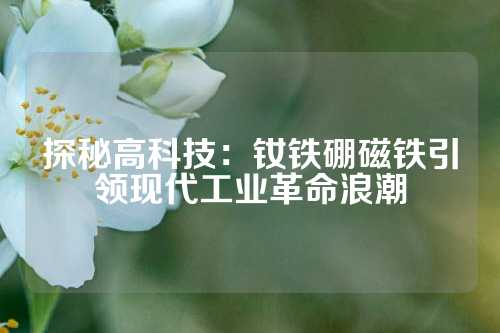 探秘高科技：釹鐵硼磁鐵引領(lǐng)現(xiàn)代工業(yè)革命浪潮