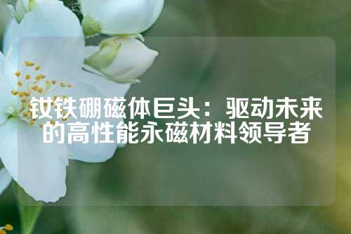 釹鐵硼磁體巨頭：驅(qū)動未來的高性能永磁材料領(lǐng)導(dǎo)者