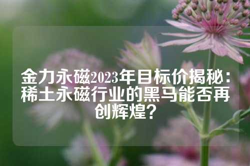 金力永磁2023年目標(biāo)價(jià)揭秘：稀土永磁行業(yè)的黑馬能否再創(chuàng)輝煌？