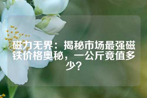 磁力無界：揭秘市場(chǎng)最強(qiáng)磁鐵價(jià)格奧秘，一公斤竟值多少？