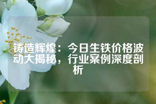 鑄造輝煌：今日生鐵價(jià)格波動大揭秘，行業(yè)案例深度剖析