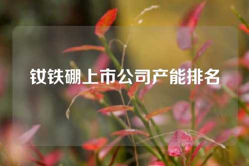 釹鐵硼上市公司產(chǎn)能排名