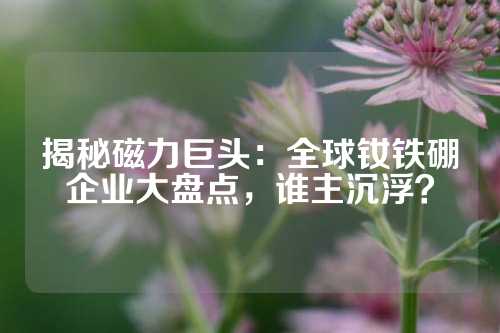 揭秘磁力巨頭：全球釹鐵硼企業(yè)大盤(pán)點(diǎn)，誰(shuí)主沉??？