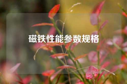 磁鐵性能參數(shù)規(guī)格