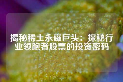 揭秘稀土永磁巨頭：探秘行業(yè)領(lǐng)跑者股票的投資密碼