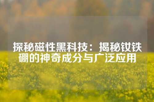 探秘磁性黑科技：揭秘釹鐵硼的神奇成分與廣泛應用