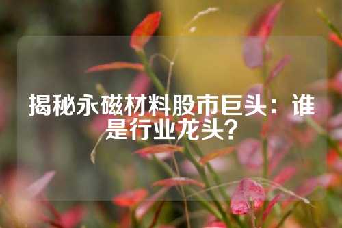 揭秘永磁材料股市巨頭：誰是行業(yè)龍頭？